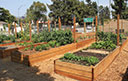 Glendale/ Community Garden - Picture This Land