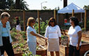 Glendale/ Community Garden - Picture This Land